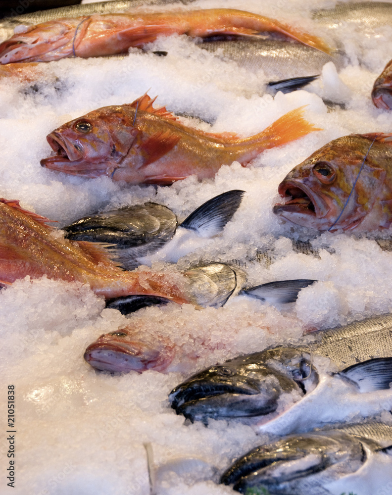 Fresh fish Fresh fish