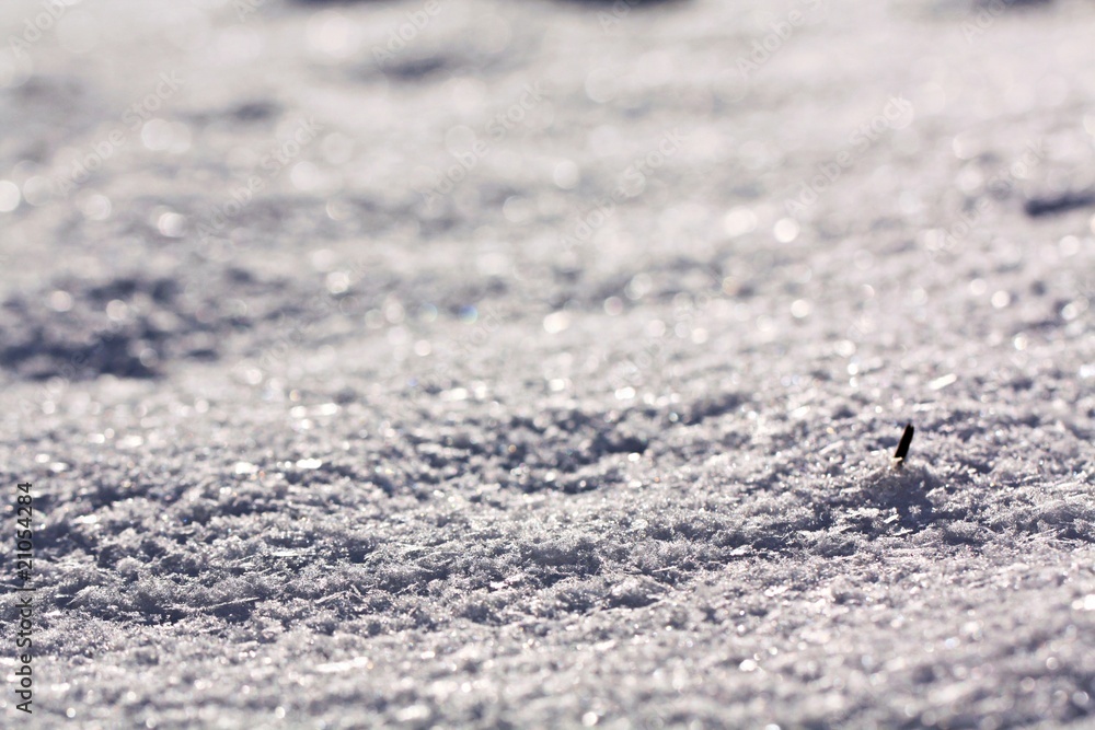 Obraz premium Schnee