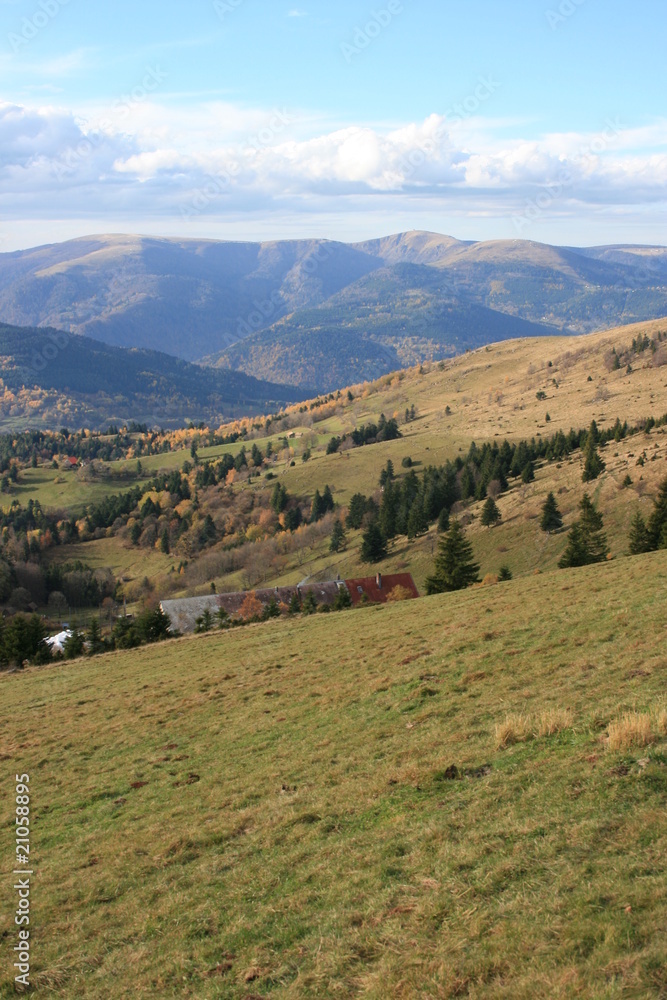 Panorama sur les Vosges à partir du Petit-Ballon (Alsace)