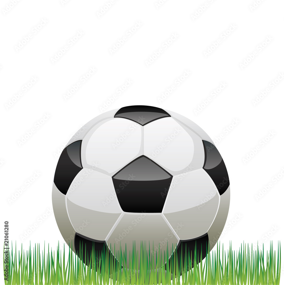 vector illustration of soccer ball