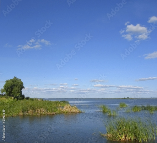 Summer landscape with lake