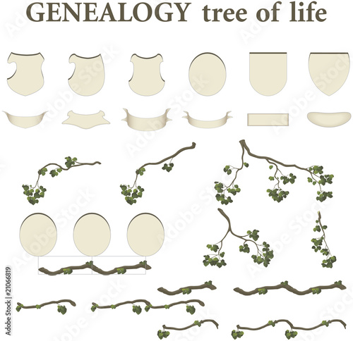 tree of life - genealogy - kit