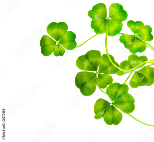 St.Patric's Day border. Lucky Clover