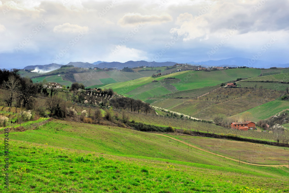 Italy, Romagna hills near Imola