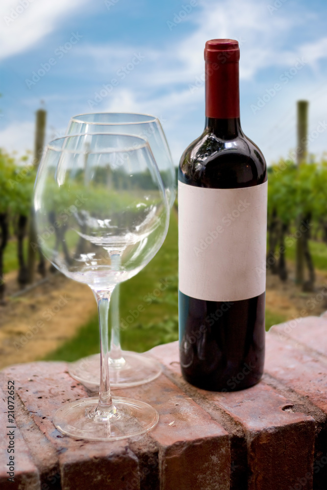 Vineyard Wine Bottle