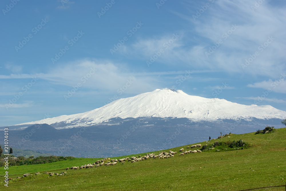 Fototapeta premium Flock And Volcano Etna In Background
