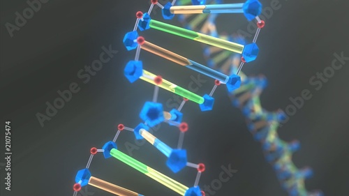 3D DNA molecule animation
