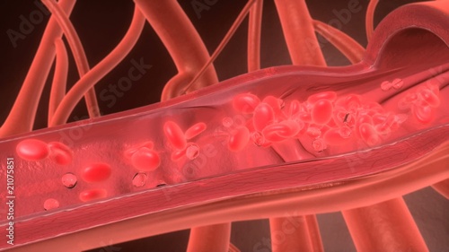 3D Red cell flowing in blood vessel - HD, NTSC, PAL