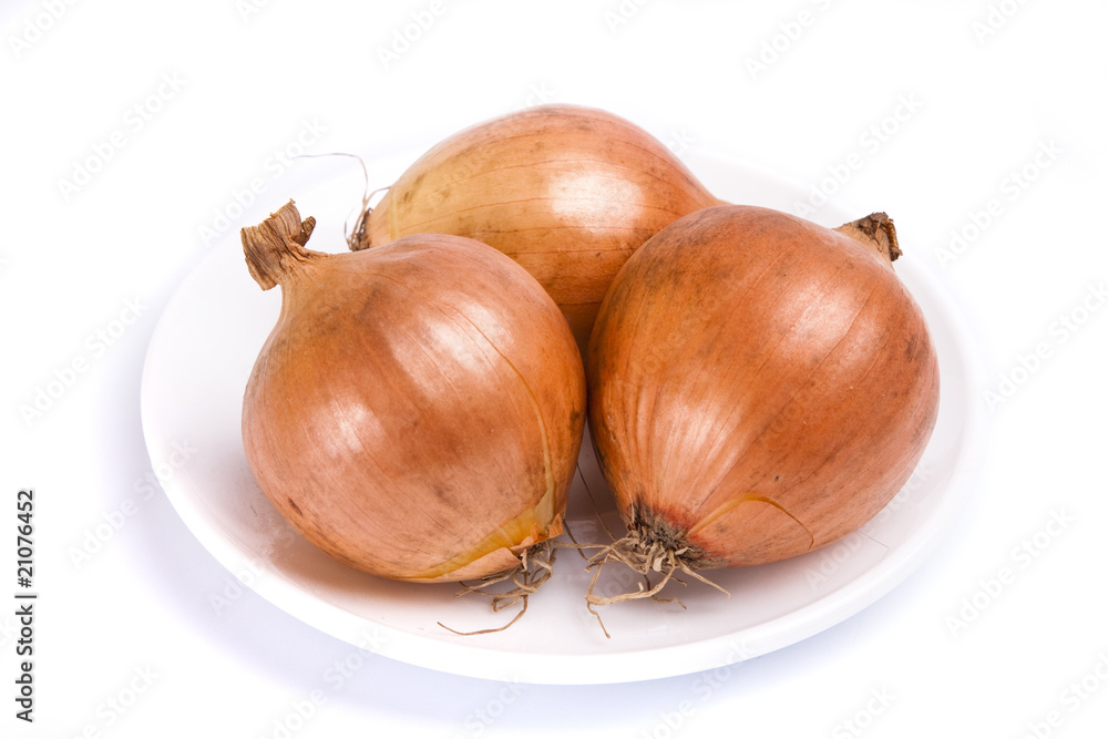 custom made wallpaper toronto digitalOnions on the plate