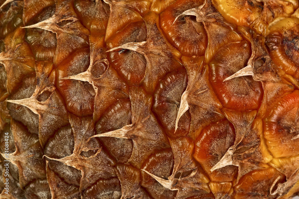 pineapple skin texture pineapple skin texture