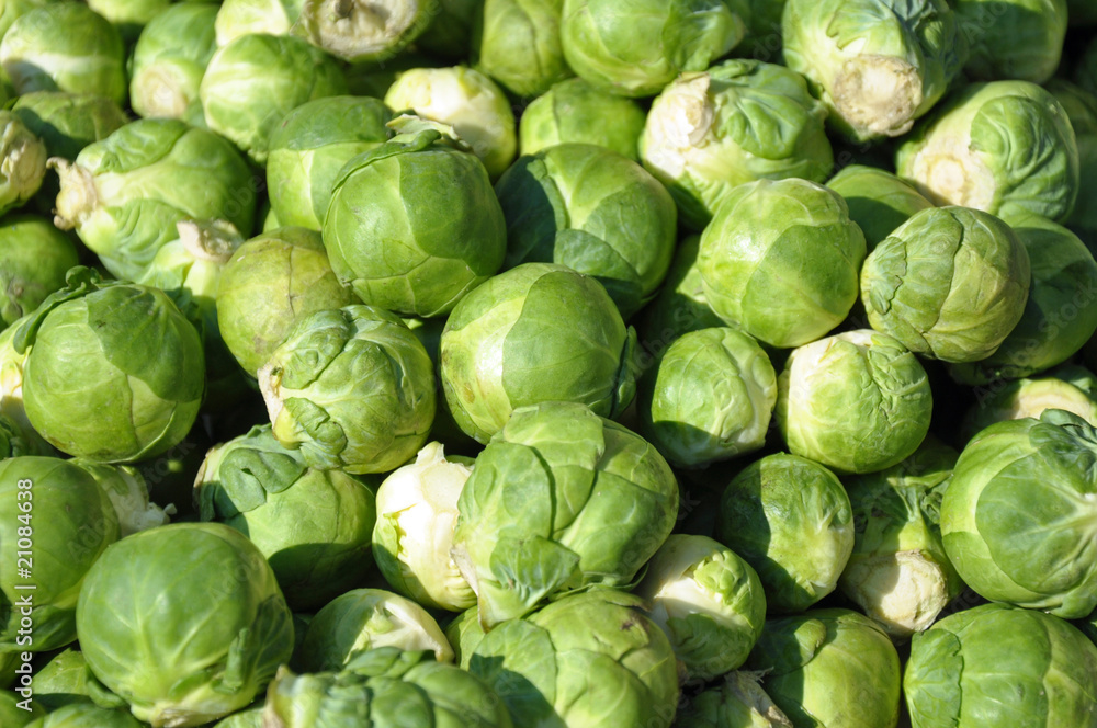 rosenkohl - kohlsprossen rosenkohl - kohlsprossen