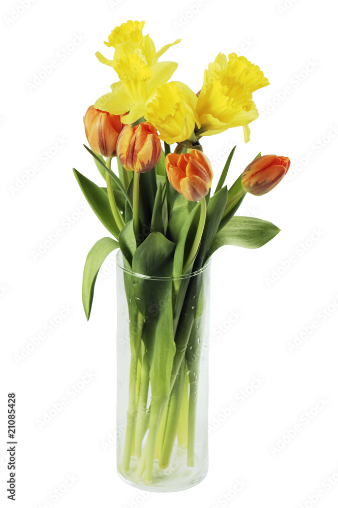 spring flowers spring flowers