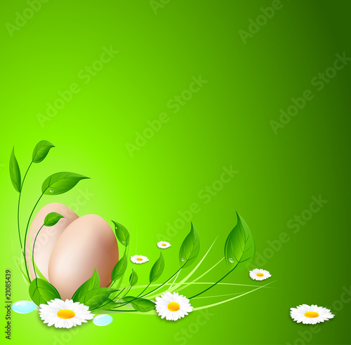 Pâquerettes et oeufs