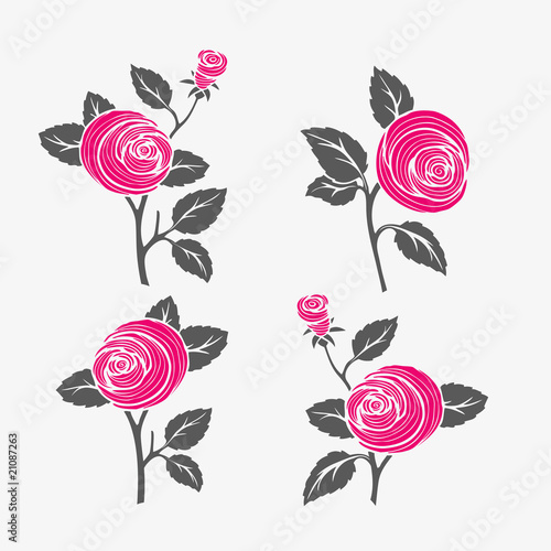 rose
