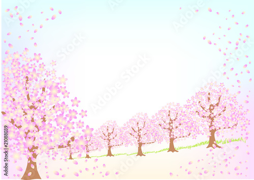 桜咲く頃 © tokurupoco