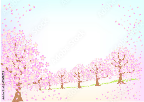 桜咲く頃