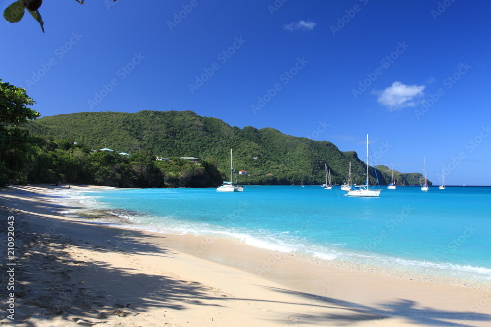 Obraz premium Tropical beach on Bequia Island, St. Vincent in the Caribbean