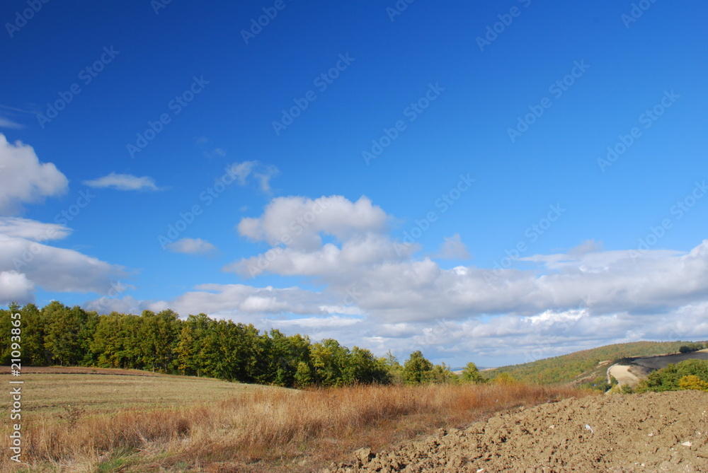 dry land dry land