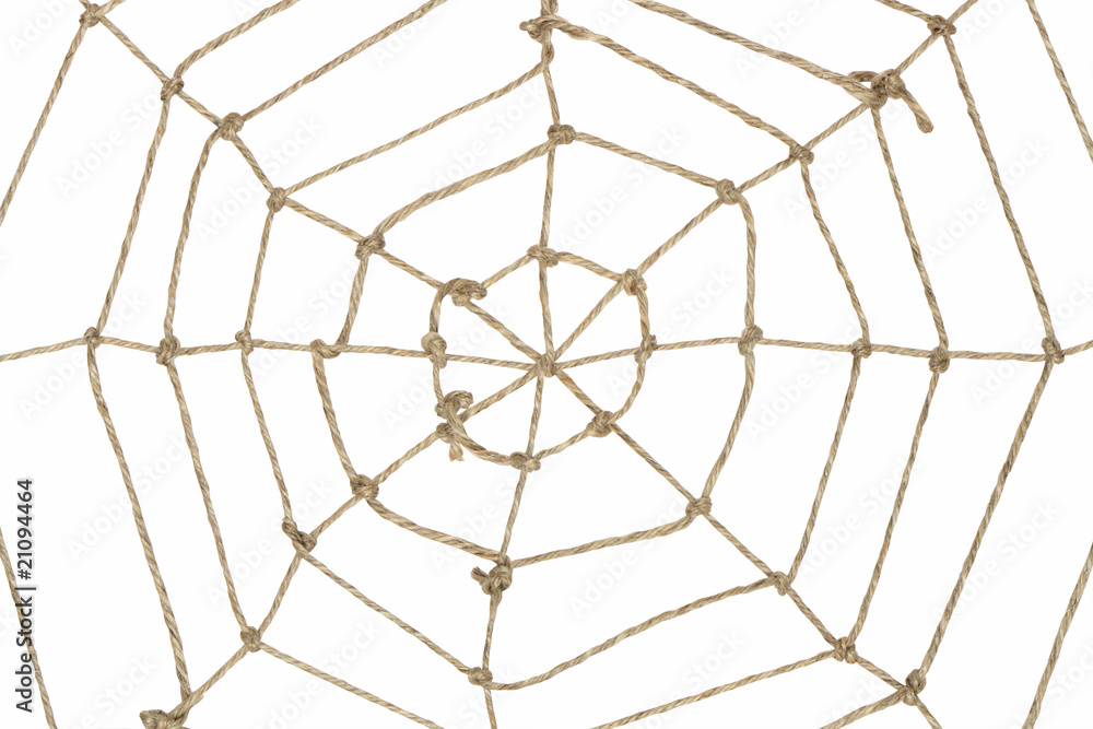 Obraz premium Rope Web
