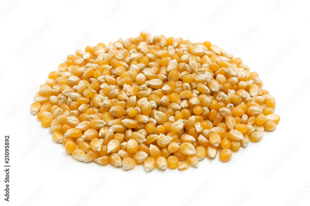 Maize kernels Maize kernels