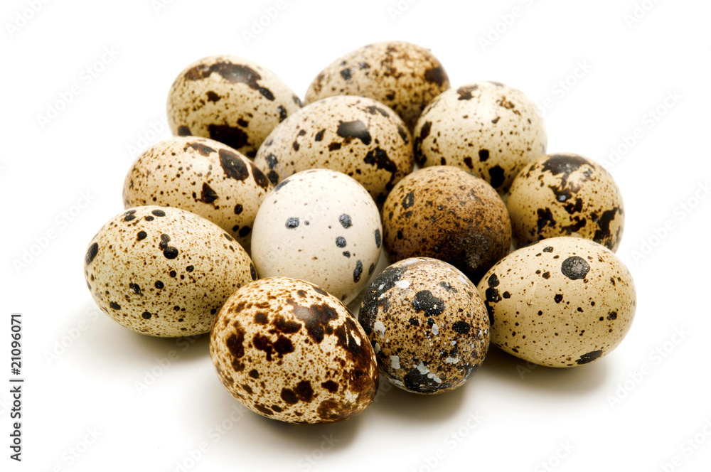 Quail eggs Quail eggs