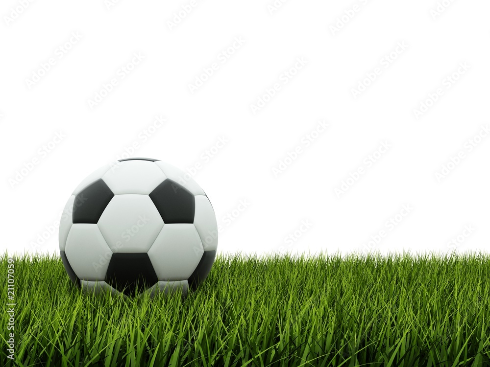 Black and white football on grass Black and white football on grass