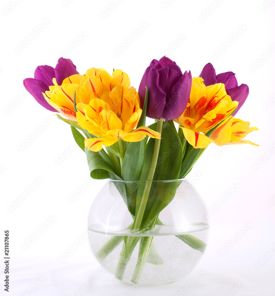 Colorful Tulips Colorful Tulips