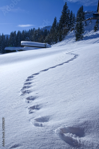 Fußspuren zu Berghütte