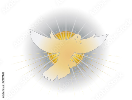Simbolo dello Spirito Santo (colomba)