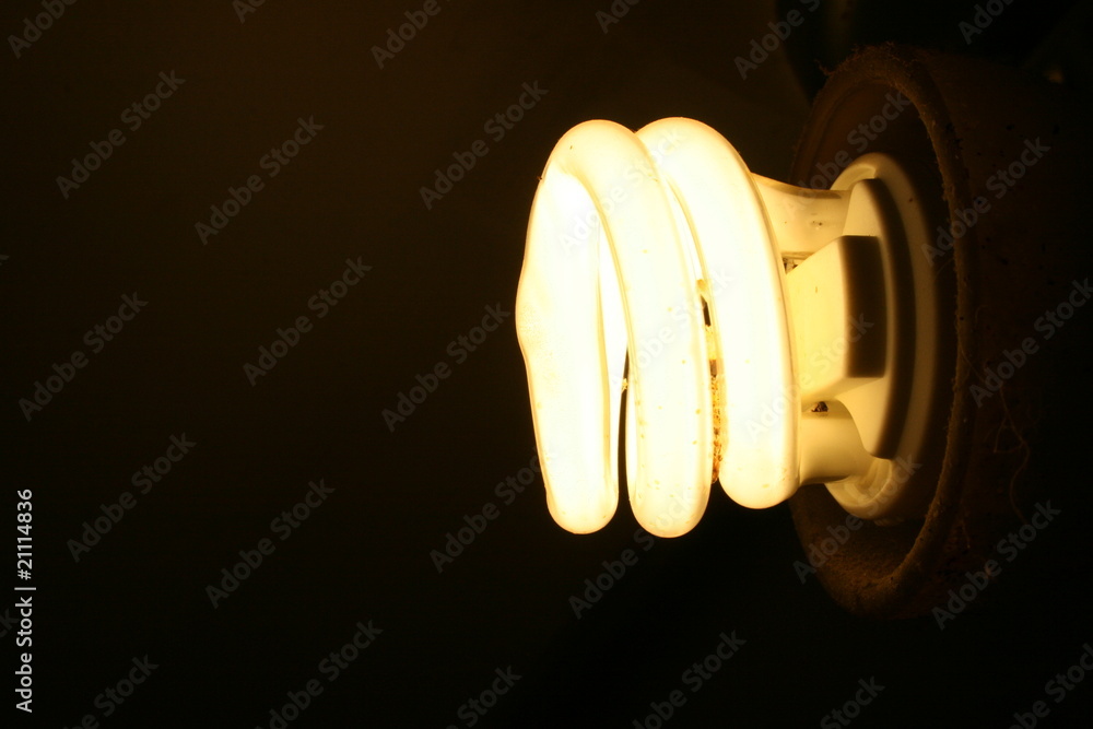 Energy Saving Light Bulb in the dark