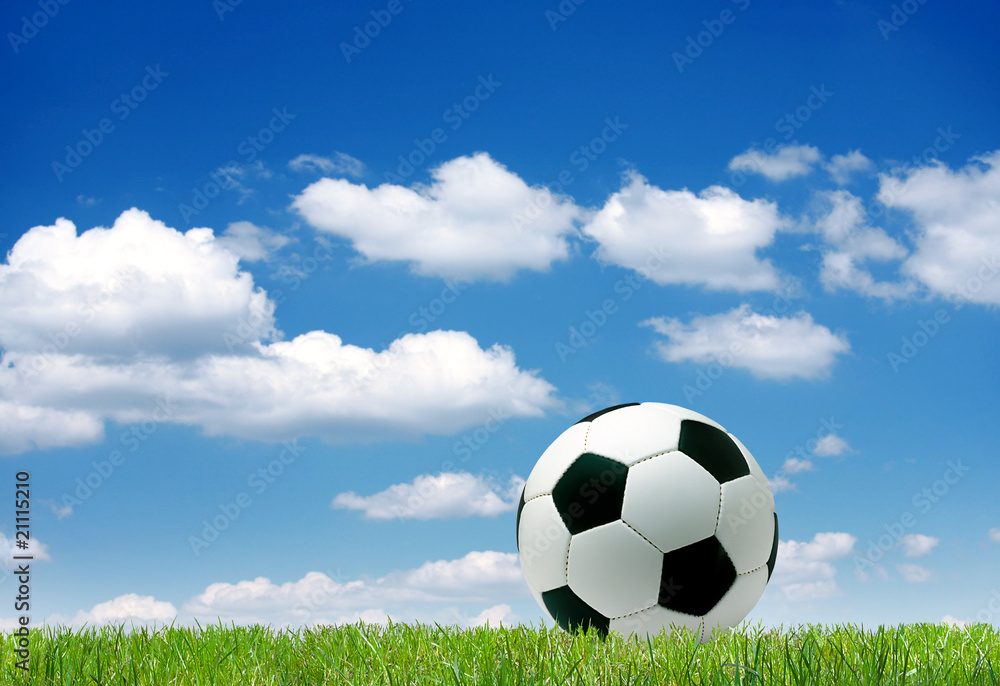 Fototapeta premium Fussball