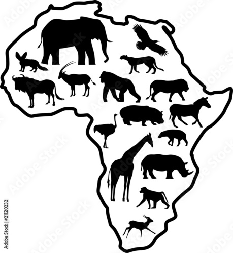 African animal