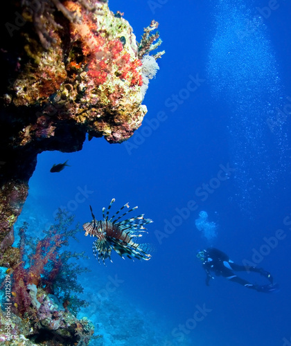 Lionfish and Woman Scuba Divers near Coral Reef
