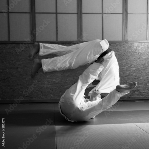 judo fight