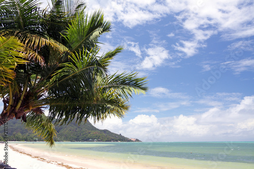 Fototapeta Naklejka Na Ścianę i Meble -  plage sable blanc lagon cocotiers Mahé Seychelles