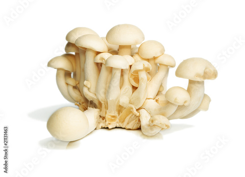White Crab Mushrooms