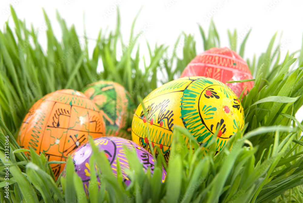 Fototapeta premium color easter eggs in nest from green grass on white