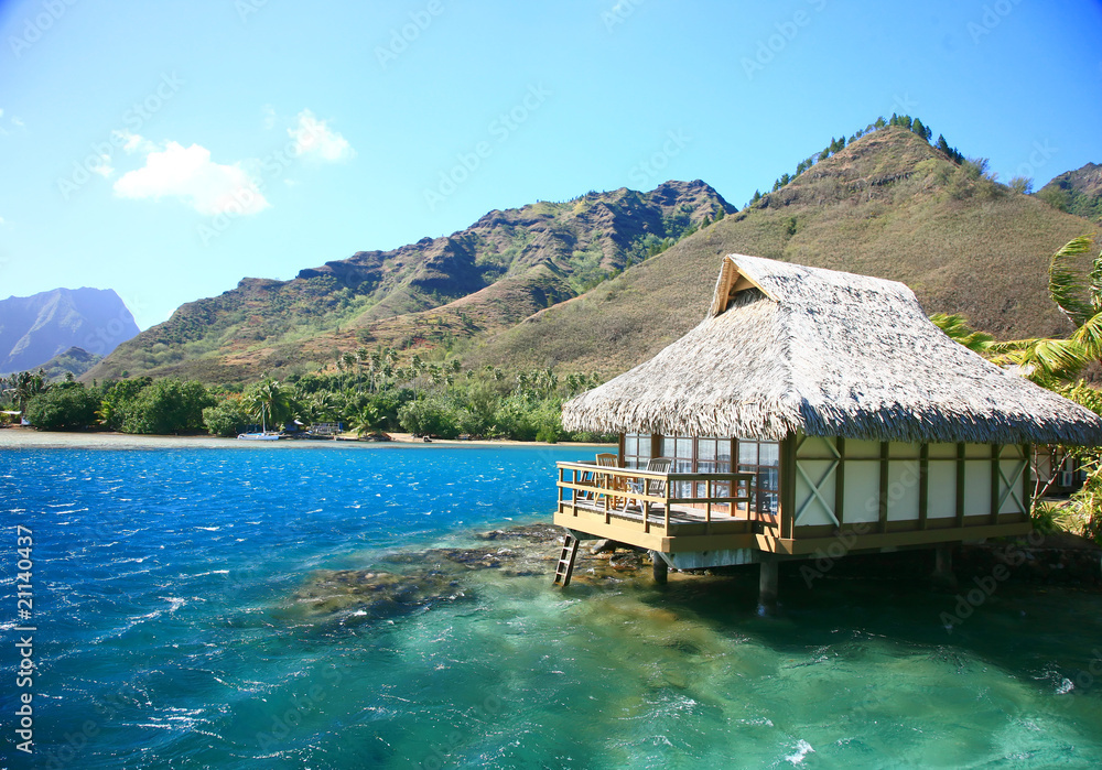 ocean house ocean house