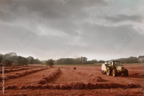 Agriculture © olly