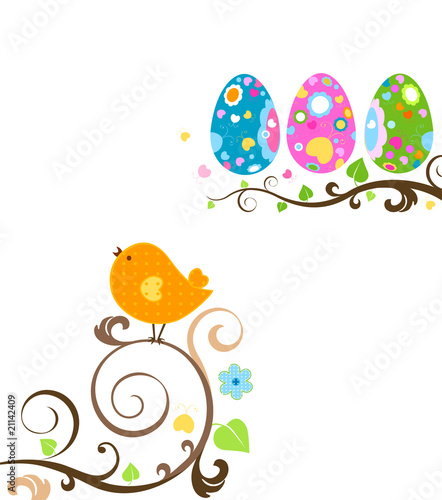bird and eggs