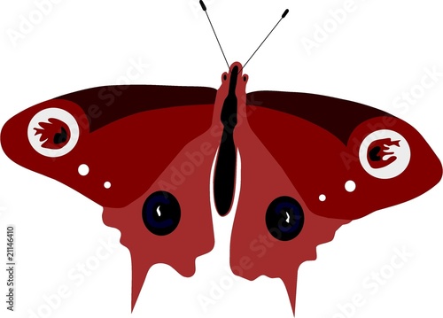 Schmetterling