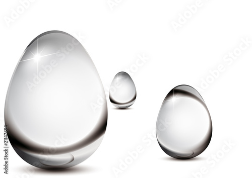 Oeuf_Transparence