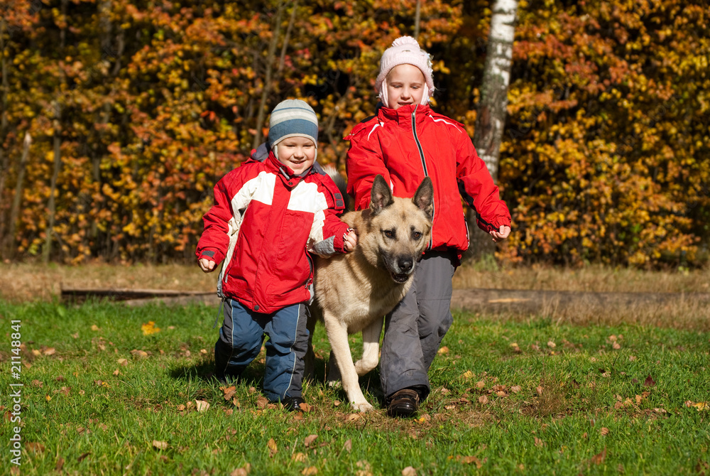 Children walking with dog in autumn forest Children walking with dog in autumn forest