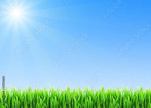 Spring background