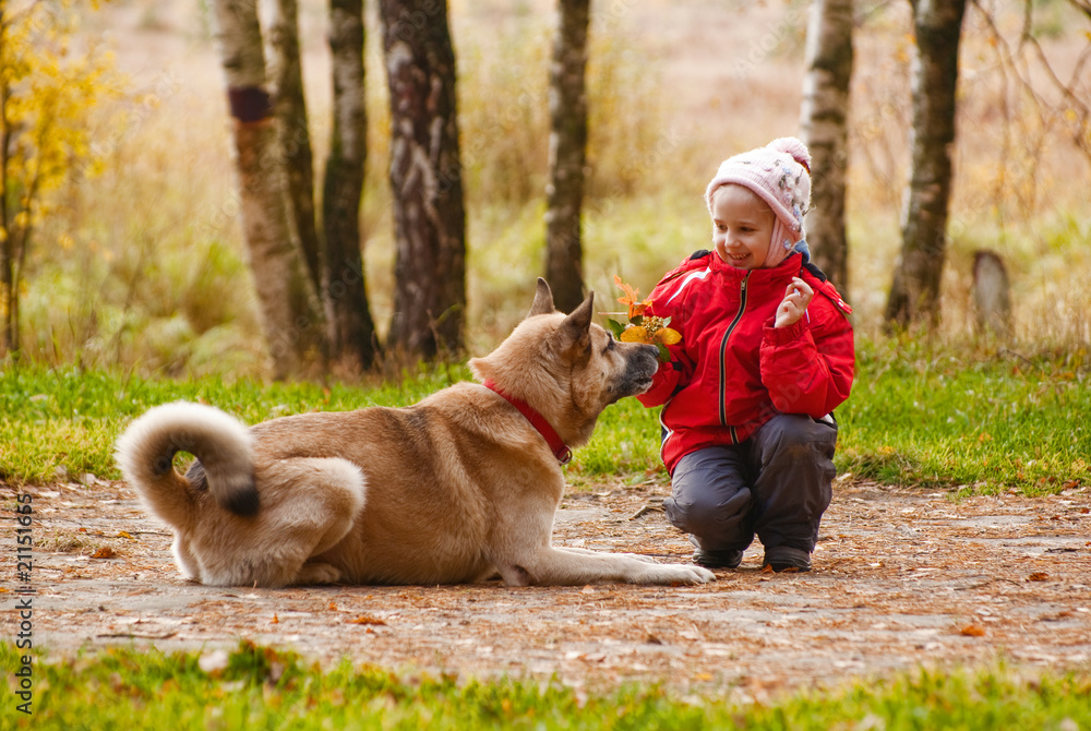 Little girl playing with her dog in autumn forest Stock Photo | Adobe Stock