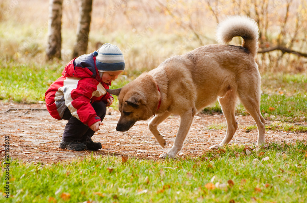 Little boy playing with his dog in autumn forest Little boy playing with his dog in autumn forest