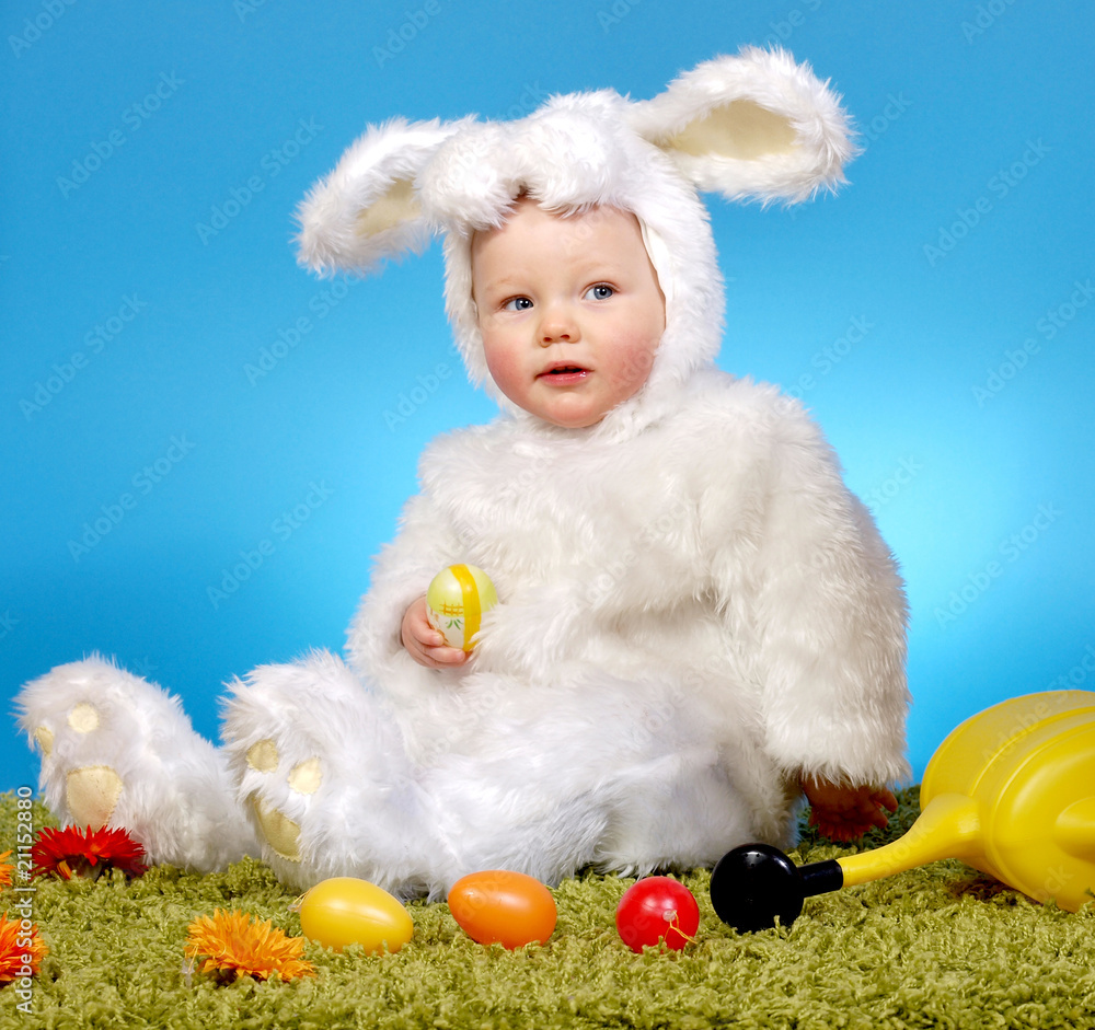 Fototapeta premium Osterhase