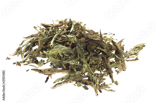 Dried Stevia Rebaudiana - natural sweetener isolated on white photo