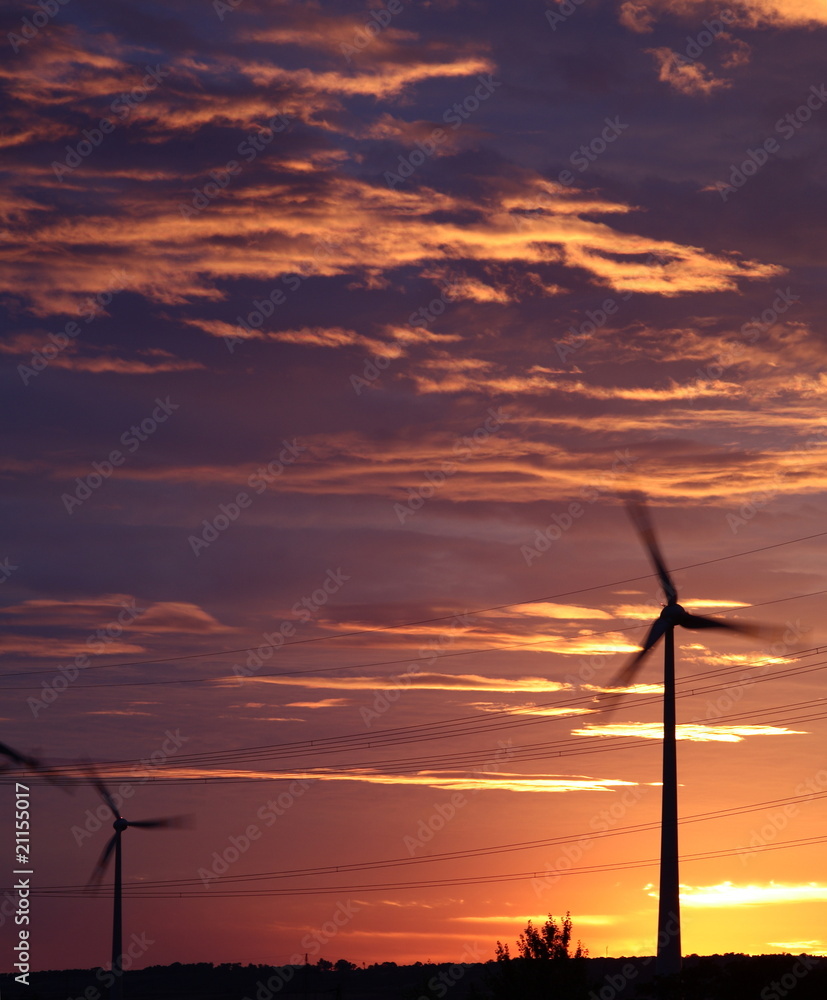 Obraz premium wind energy harvesting wind mills at sunrise