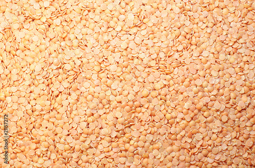 Red lentil